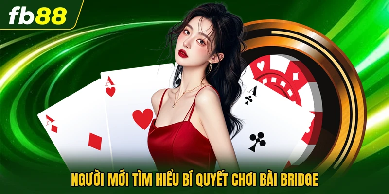 Người mới tìm hiểu bí quyết chơi bài Bridge