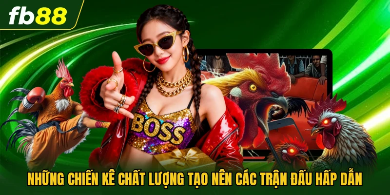 Những chiến kê chất lượng tạo nên các trận đấu hấp dẫn